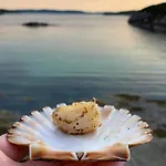 Semesterbostad Rorbu I Havn *