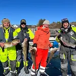 Semesterbostad Rorbu I Havn *
