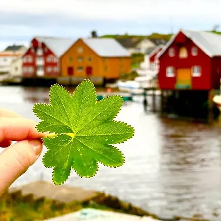 Holiday home Rorbu I Havn Bud