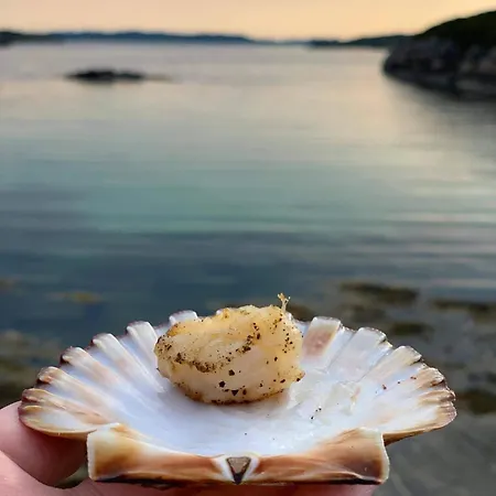 Hébergement de vacances Rorbu I Havn *