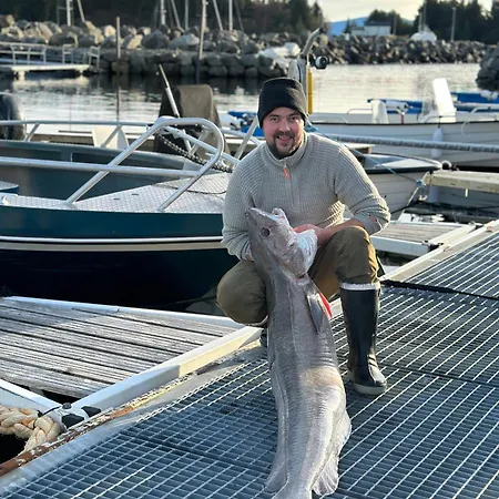 Rorbu I Havn