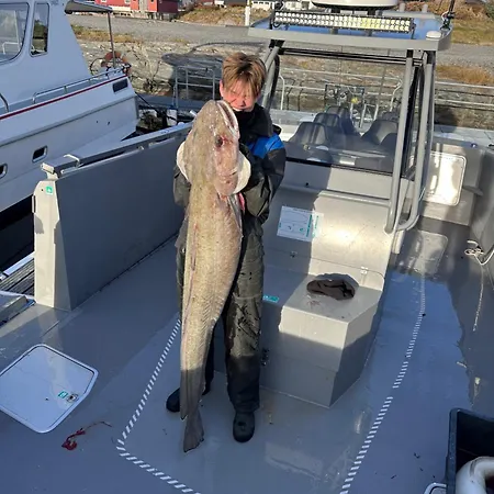 Feriehus Rorbu I Havn
